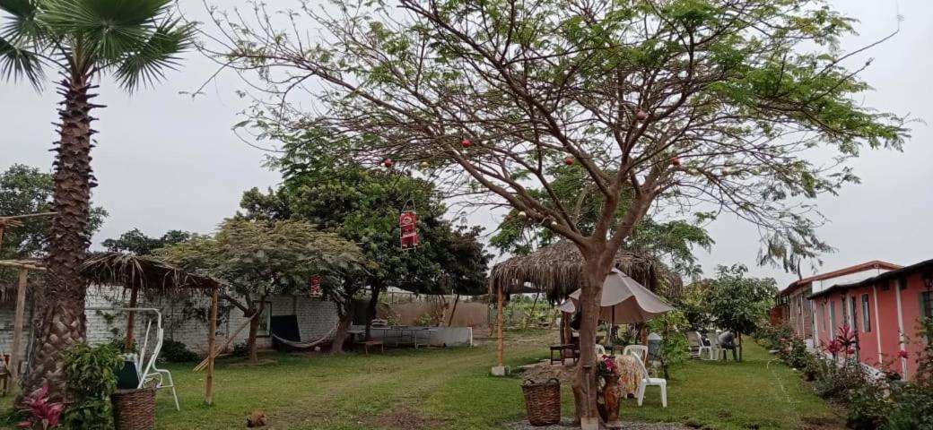 La Vina De Oscar Pensionat Nuevo Imperial Exteriör bild