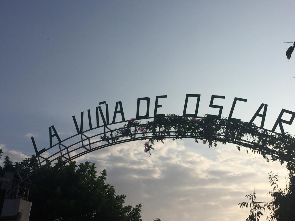 La Vina De Oscar Pensionat Nuevo Imperial Exteriör bild