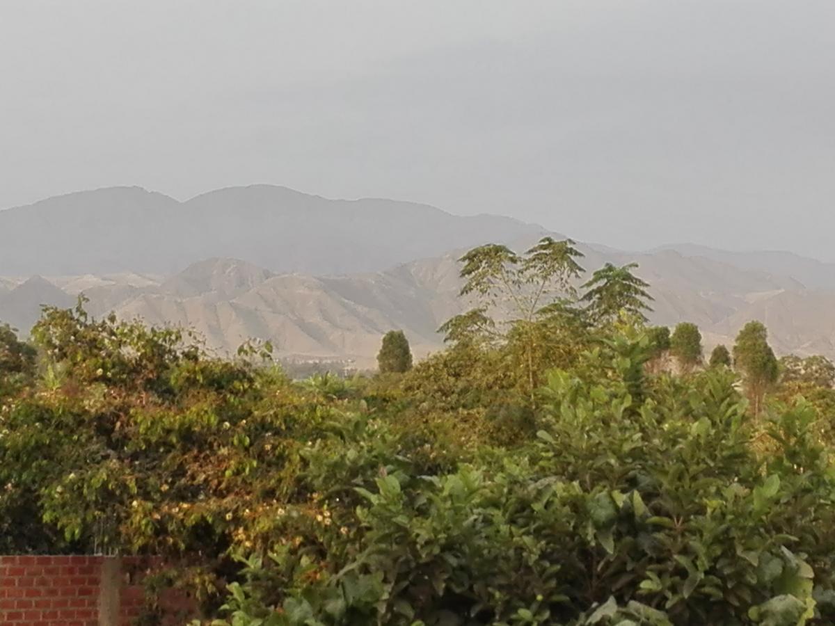 La Vina De Oscar Pensionat Nuevo Imperial Exteriör bild